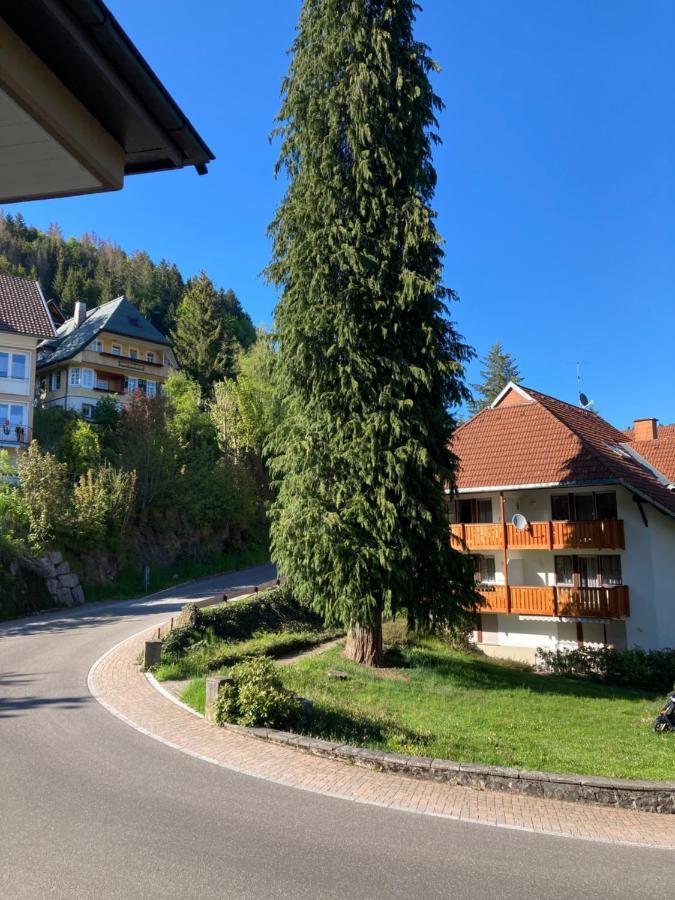 Appartamento Haus Sonne Todtmoos Esterno foto