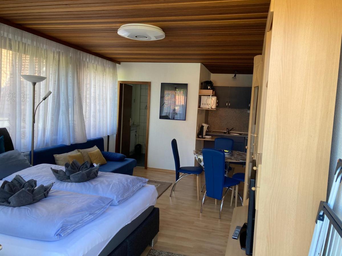 Appartamento Haus Sonne Todtmoos Esterno foto