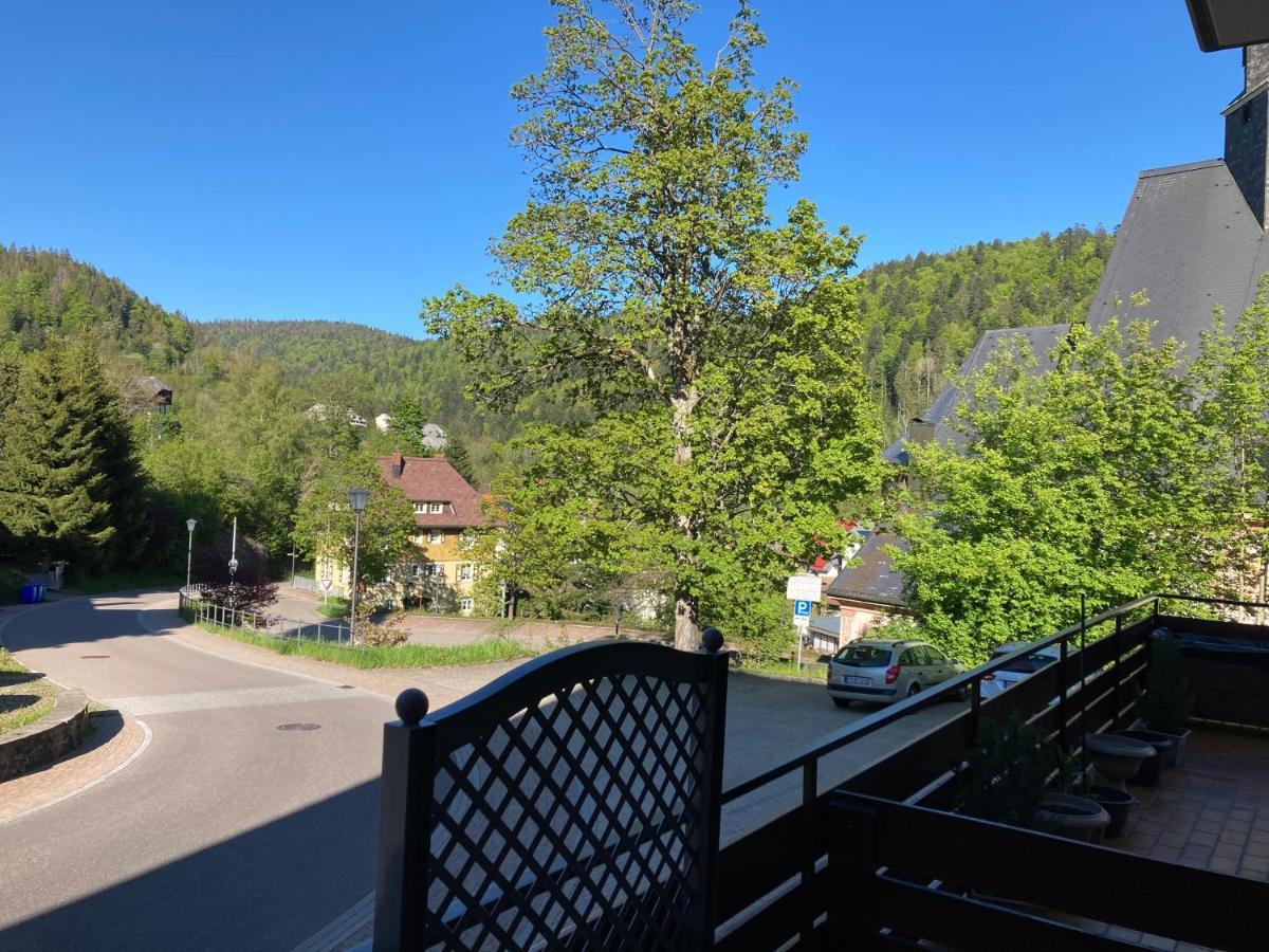 Appartamento Haus Sonne Todtmoos Esterno foto